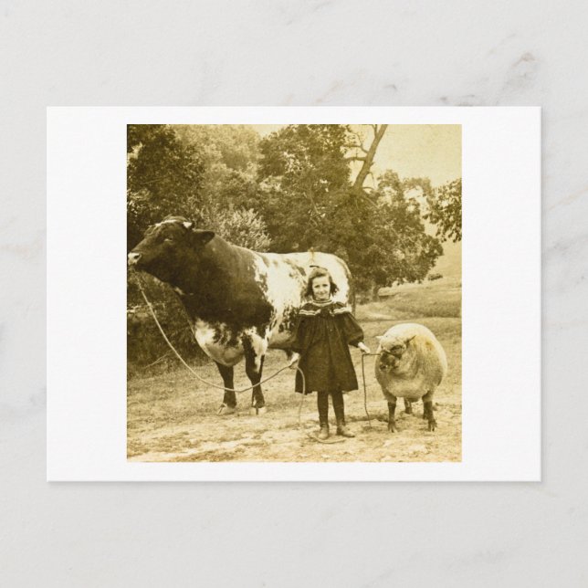 Postal Un Niño Pequeño Los Liderará (Anverso)