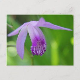 Postal ¡Un Orchifd para ti!