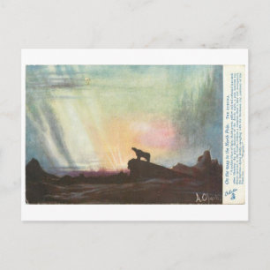 Postal Un oso en su camino