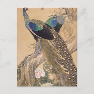 Postal Un par de pavos reales en primavera por Imao Keine