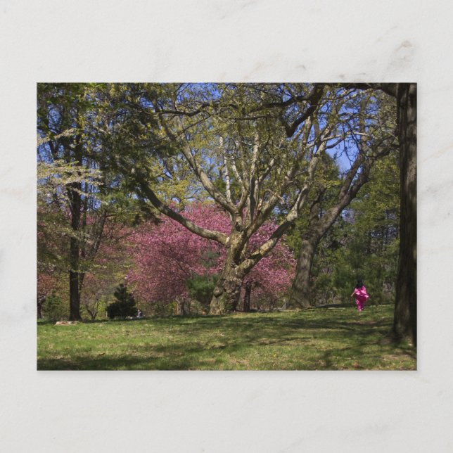 Postal Un paseo (Anverso)