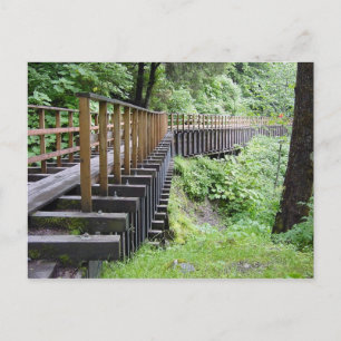 Postal Un paseo pacífico