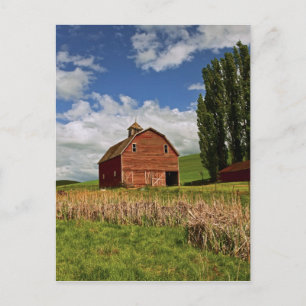 Postal Un paseo por el campo agrícola de Palouse