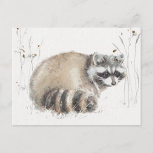 Postal Un paseo X del arbolado