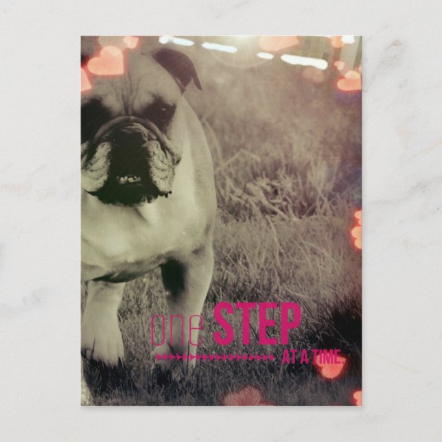 Postal Un paso a la vez, Bulldog (Anverso)