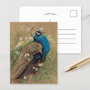 Postal Un pavo real y margueritas   Edwin John Alexander