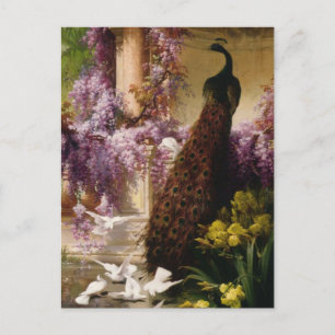 Postal Un pavo real y palomas en la impresión de un jardí