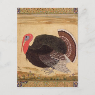 Postal Un pavo turco, llevado a Jahangir