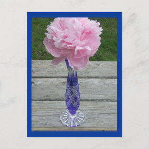 Postal Un Peinado Rosa Único en la Vasa de Cristal del Cé