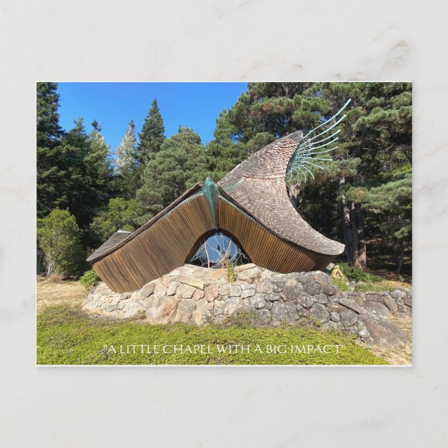 POSTAL UN PEQUEÑO CAMPO CON UN GRAN IMPACTO (Anverso)