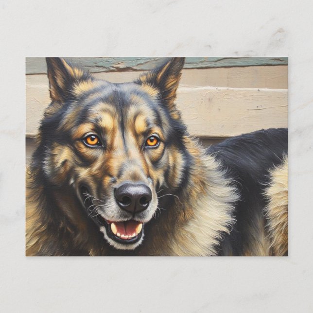 Postal Un perro doméstico mira confiado a la cámara. (Anverso)