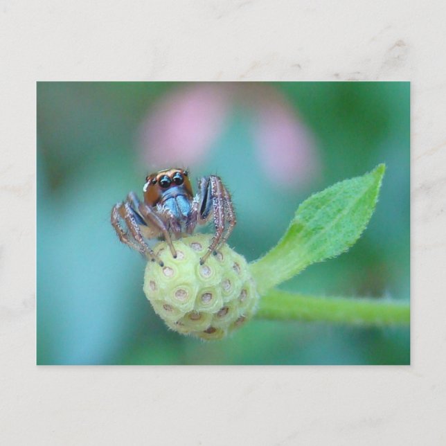 Postal ¿Un poco accidentado? (Anverso)