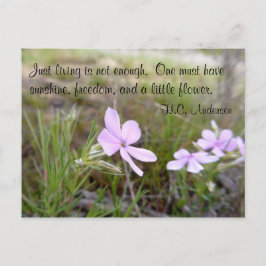 Postal Un poco de flor