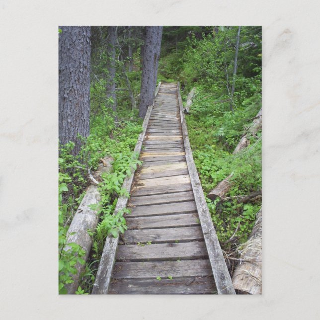 Postal Un puente en el bosque (Anverso)