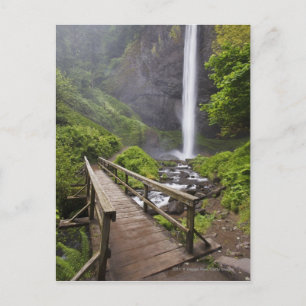Postal Un Puente Sobre El Río Columbia Y Las Cataratas De