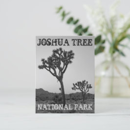 Postal Un recuerdo clásico de un árbol Joshua blanco y ne