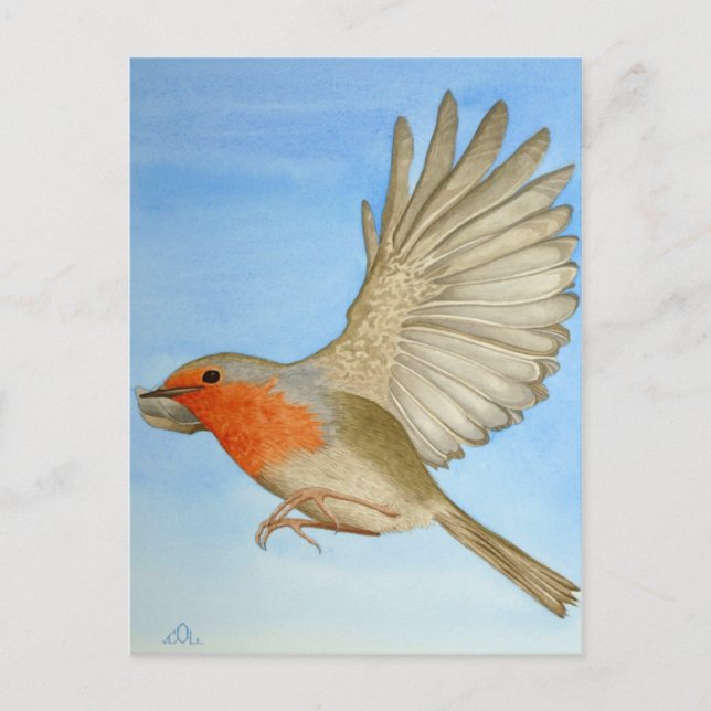 Postal Un Robin en vuelo (Anverso)