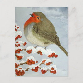 Postal Un Robin y bayas en la nieve