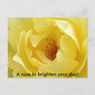Postal ¡Un rosa para alegrar el día!