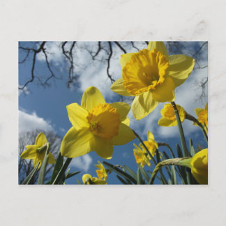 POSTAL UN RÓTULO DE PRIMAVERA