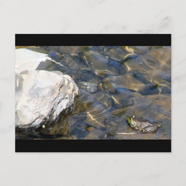 Postal Un salto a la vez (Anverso)