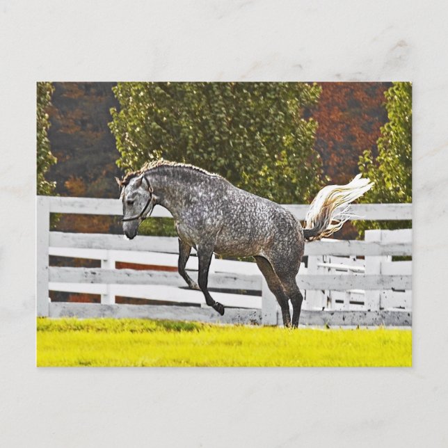 Postal Un salto alegre (Anverso)