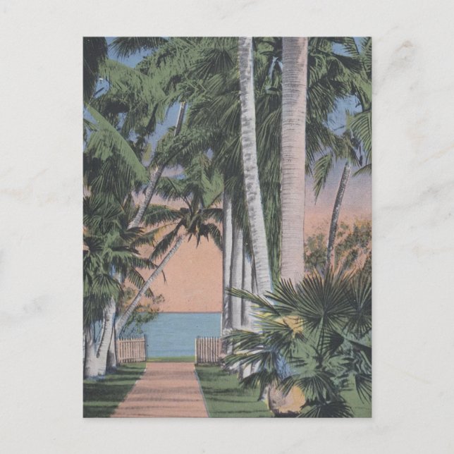 Postal Un sitio de Florida de ensueño (Anverso)