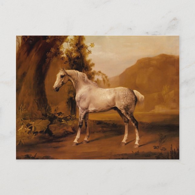Postal Un Stallion gris en un paisaje de George Stubbs (Anverso)