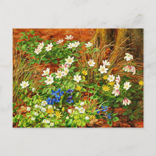 Postal Un suelo forestal con anémonas y violetas