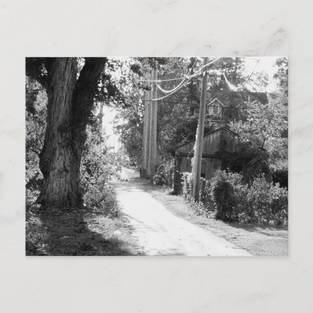 Postal Un sueño de blanco y negro (Anverso)