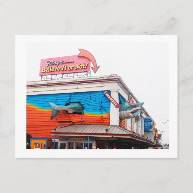 Postal Un tiburón (Anverso)