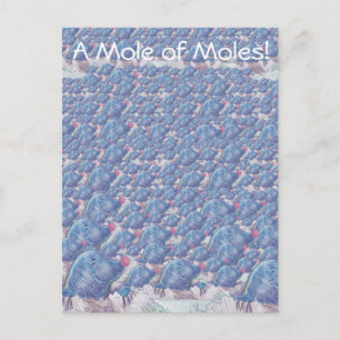Postal Un topo de la constante del Personalizado de Moles