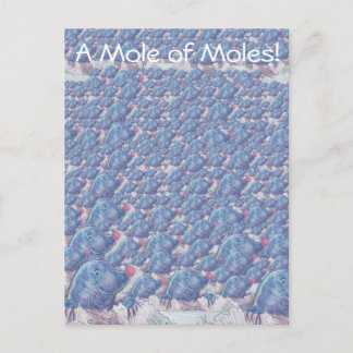 Postal Un topo de la constante del Personalizado de Moles