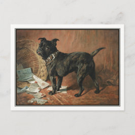 Postal Un travieso moreno de John Emms