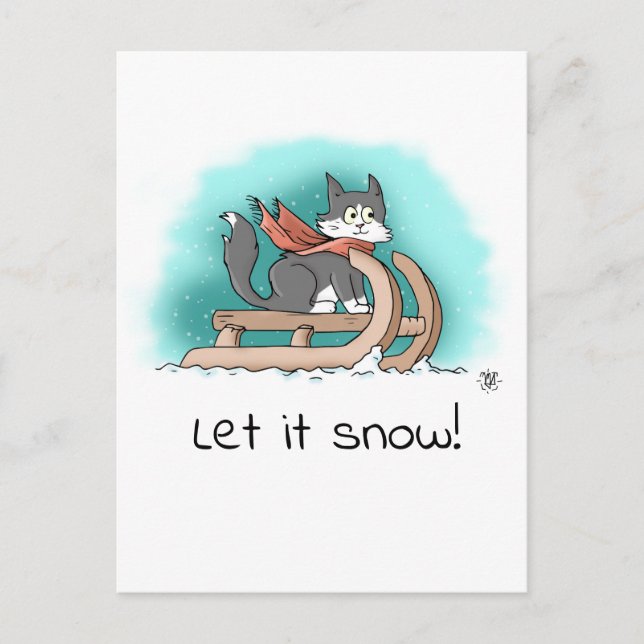Postal Un valiente gato negro y blanco Personalizado en l (Anverso)