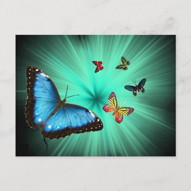 Postal Un viaje a Butterflys (Anverso)