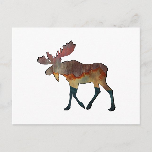 Postal Un viaje increíble (Anverso)