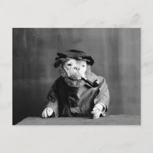 Postal Un viejo perro marino: 1905