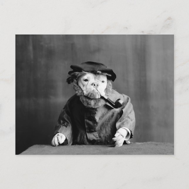 Postal Un viejo perro marino: 1905 (Anverso)