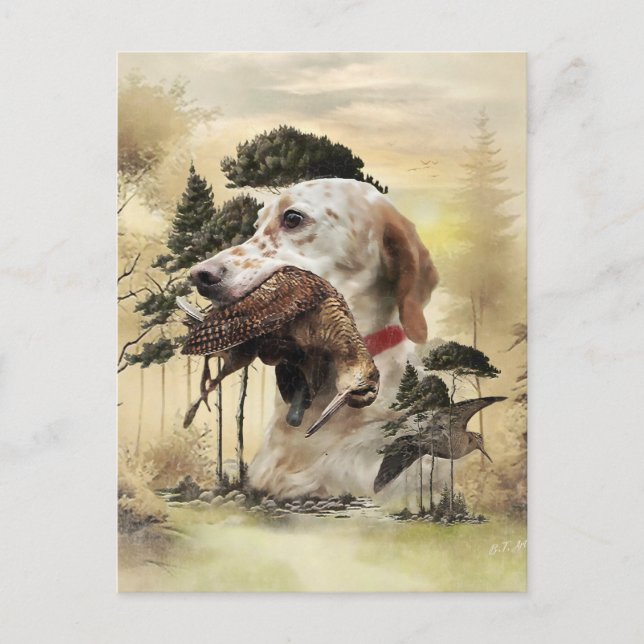 Postal Un Woodcock con el setter inglés (Anverso)