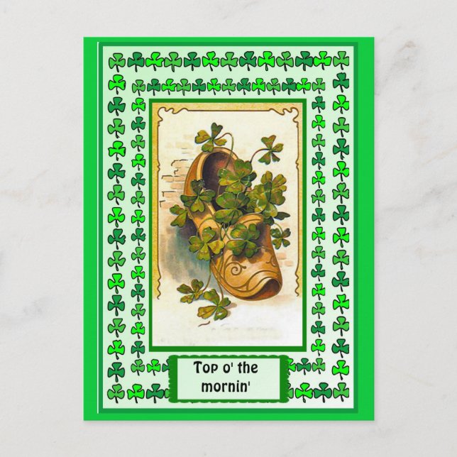 Postal Un zapato lleno de rocas de champú (Anverso)