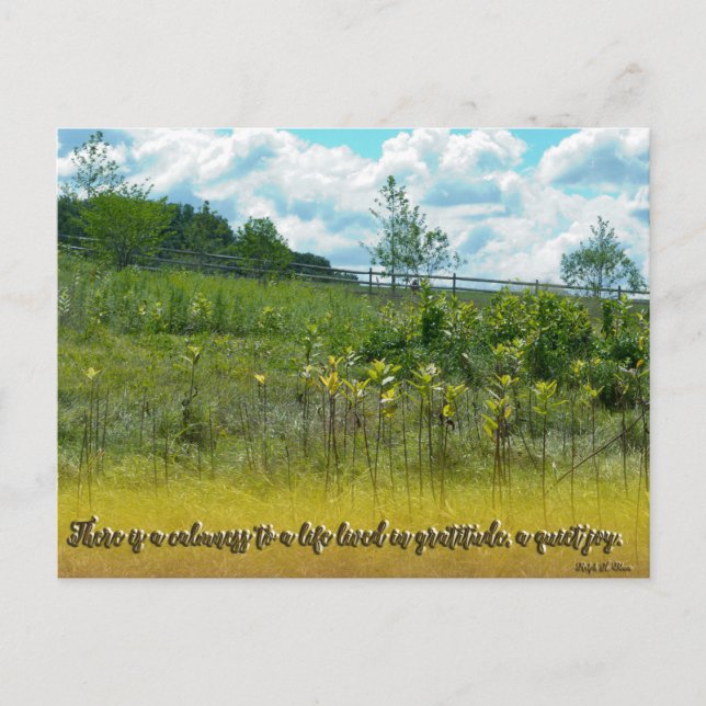 Postal Una alegría tranquila (Anverso)