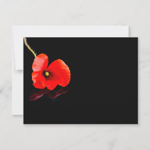 Postal Una amapola roja en negro