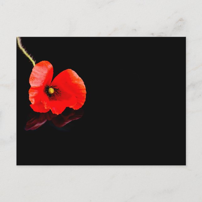 Postal Una amapola roja en negro (Anverso)