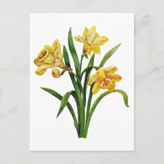 Postal Una anfitriona dorada de los Daffodils bordados