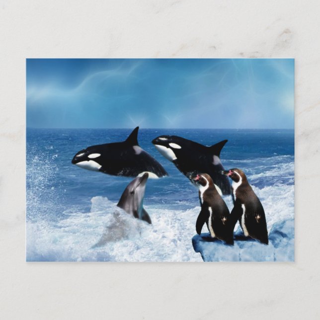 Postal Una ballena de un mundo (Anverso)