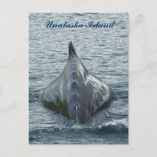 Postal Una ballena está de vuelta en la bahía de Unalaska