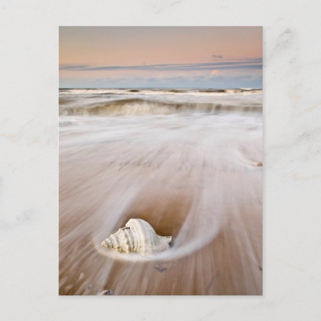 Postal Una Bonita Playa | Costa Blanca, España (Anverso)