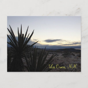 Postal Una caída del desierto