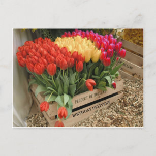 Postal Una caja de madera con tulipanes